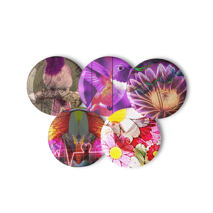 Hummingbird remix edited product image (3)