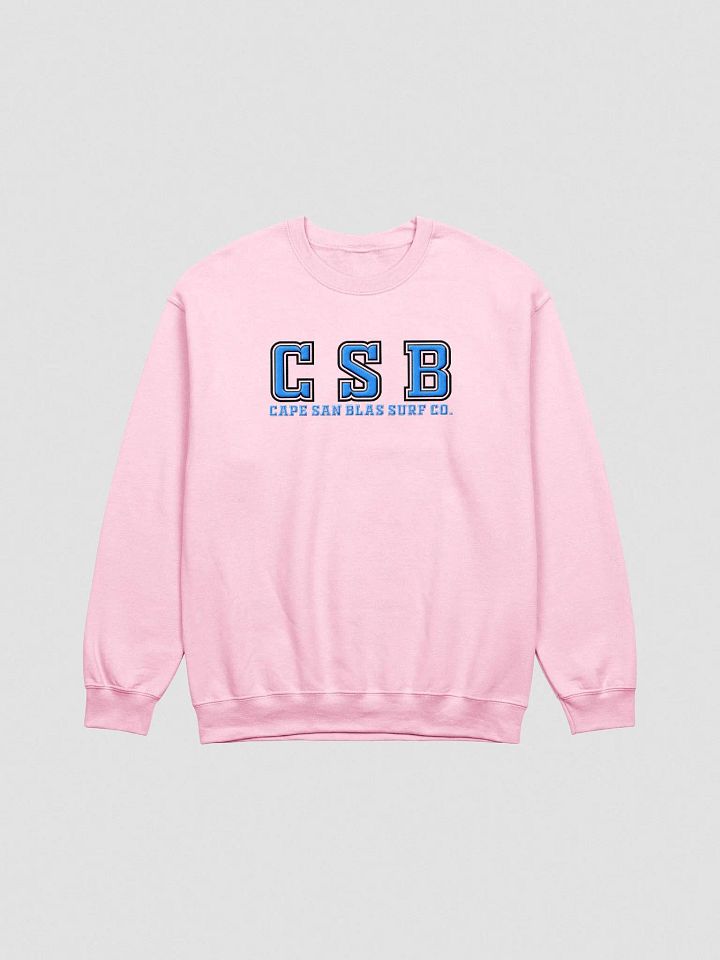 College Bound Embroidered Sweatshirt product image (2)