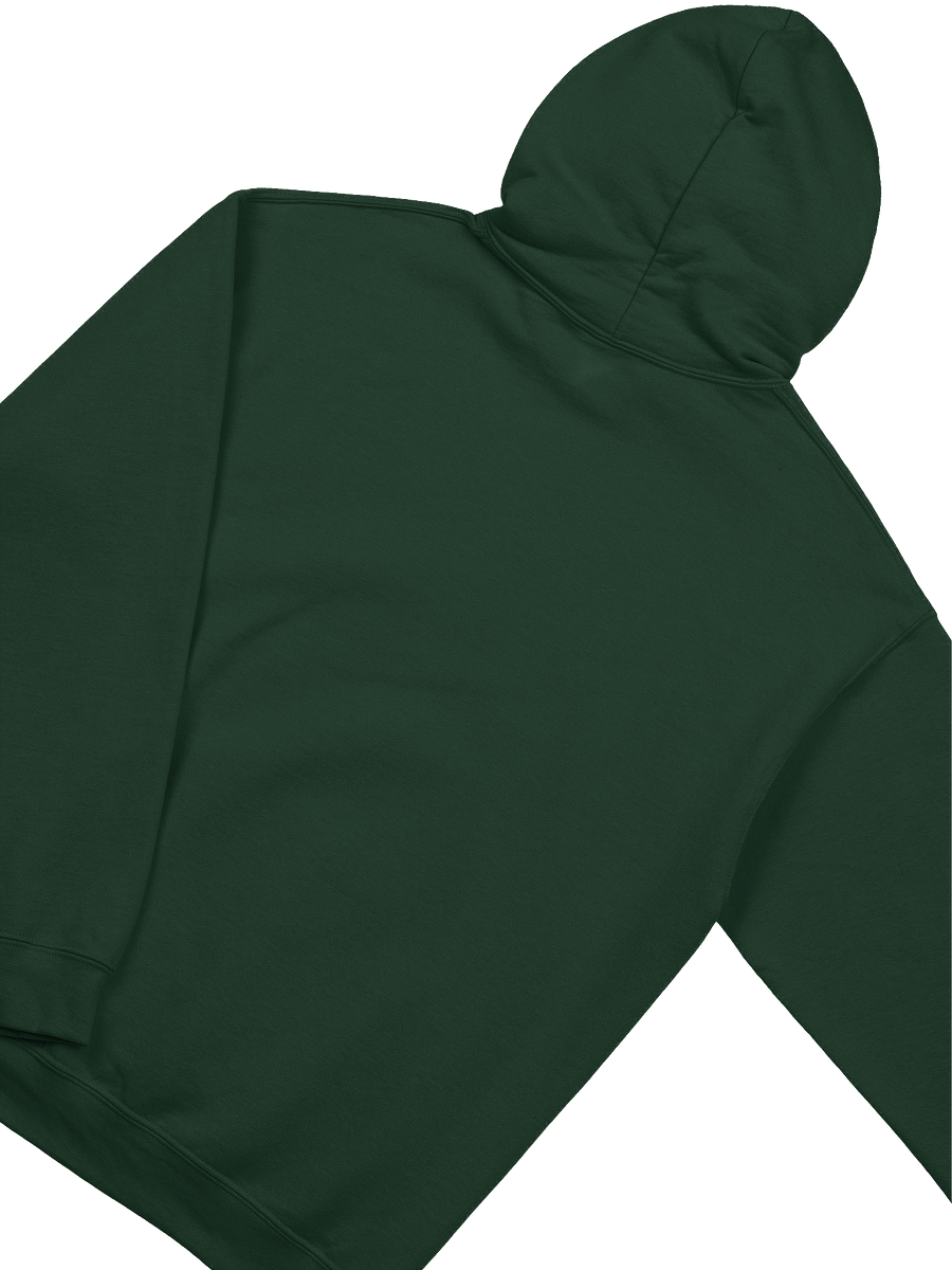 Protect Yo InnerG Hoodie product image (4)