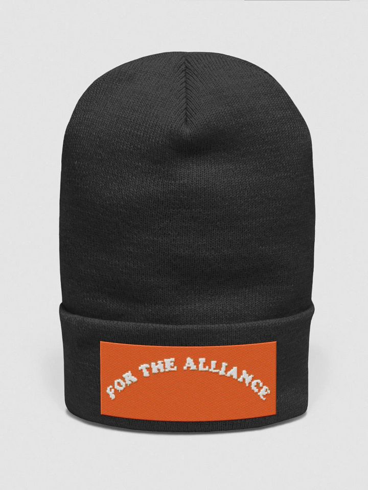 For the beanie alliance product image (1)