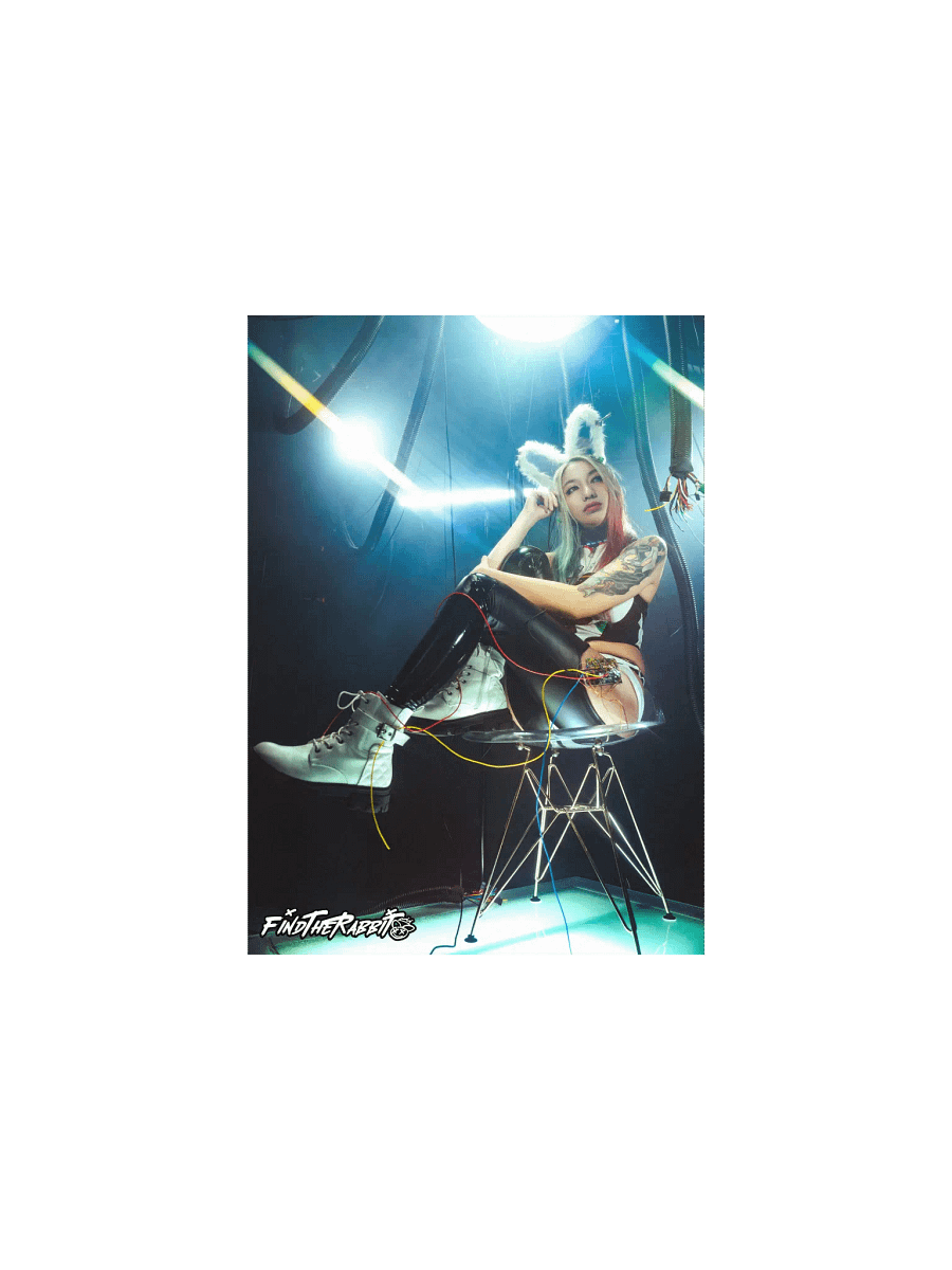 FIND THE RABBIT MATTE POSTER PRINT product image (1)