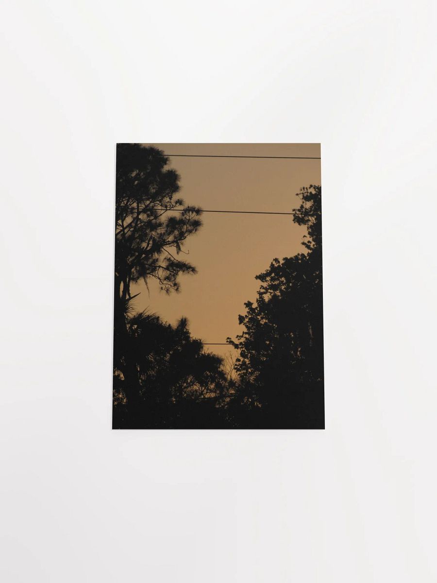 FL Orange Sky product image (43)