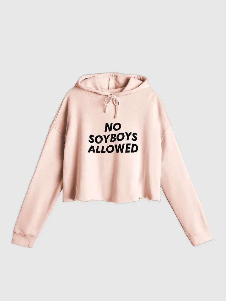 no soyboys allowed cropped hoodie - 80% cotton product image (1)