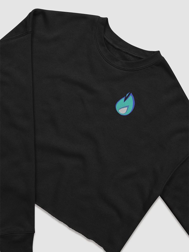 Spirit Flame and Cypher Text Crop Sweatshirt product image (3)