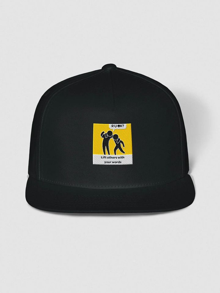 The OK Show Snapback product image (3)