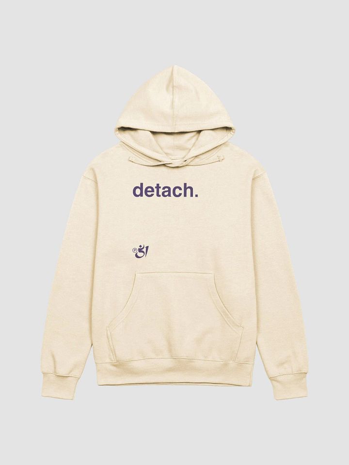detach. hoodie product image (1)