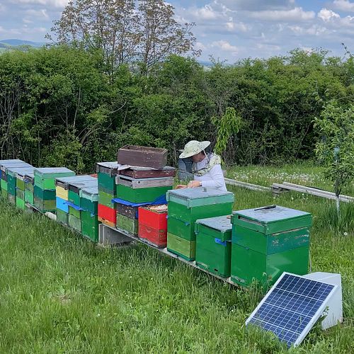 A New day in our Apiary…
#bees #beekeeping #beekeeper #beekeeperlife