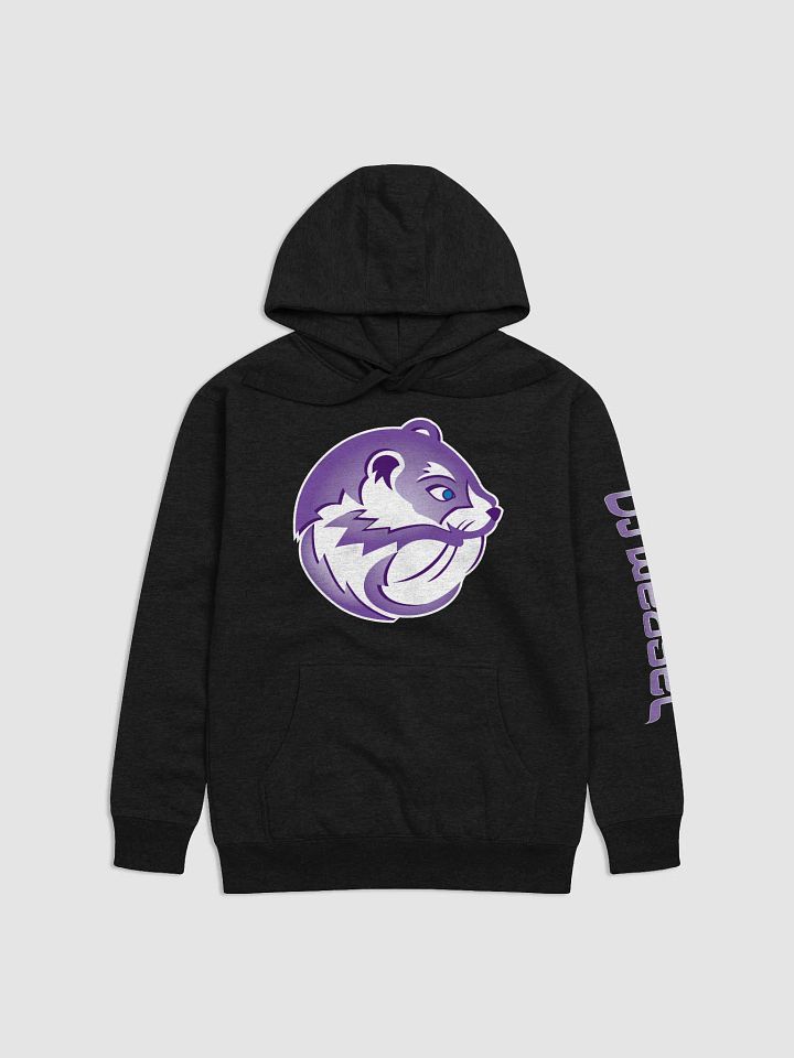 DJ Weasel 2025 Edition Hoodie product image (1)