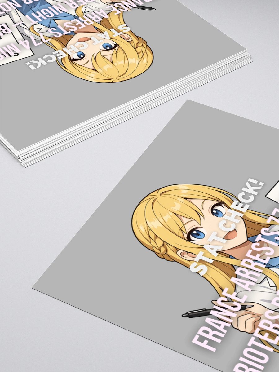 FRANCE ARRESTS product image (14)