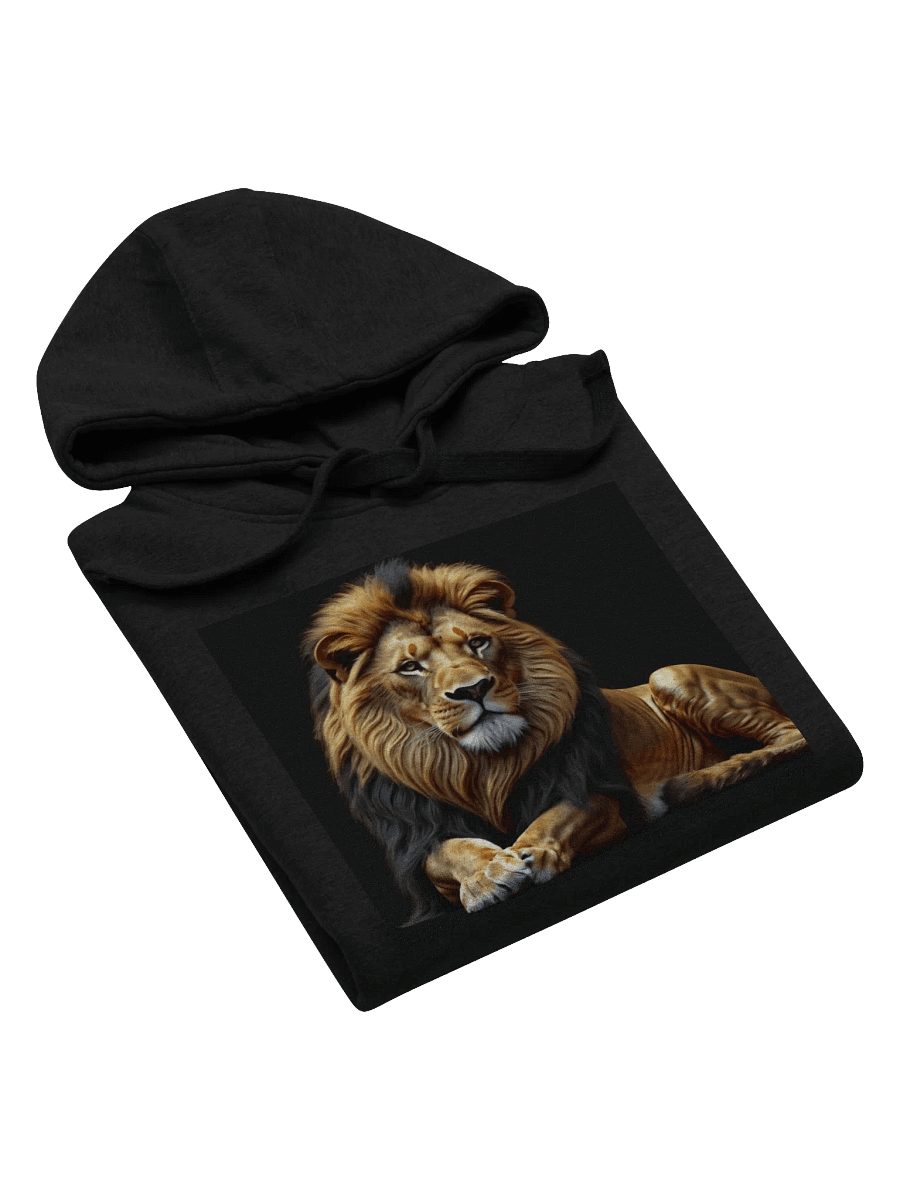 Kingly & Calm Hoodie product image (58)