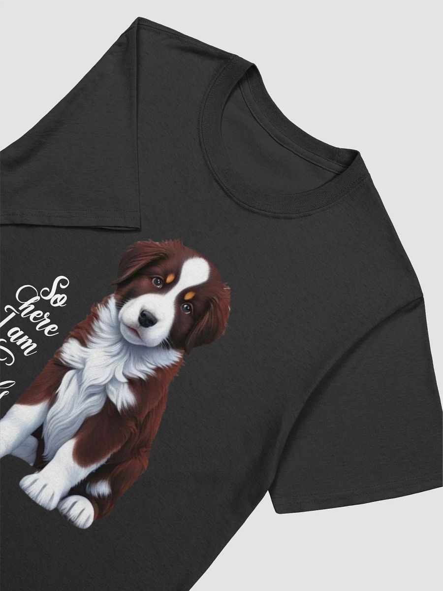 Proverbs 12:10 Sleek Collie product image (5)