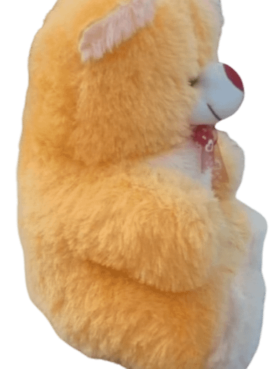 TEDDY BEAR product image (4)