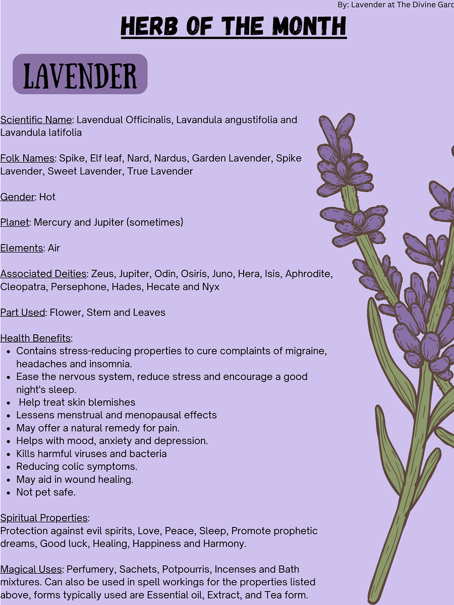 Lavender product image (1)