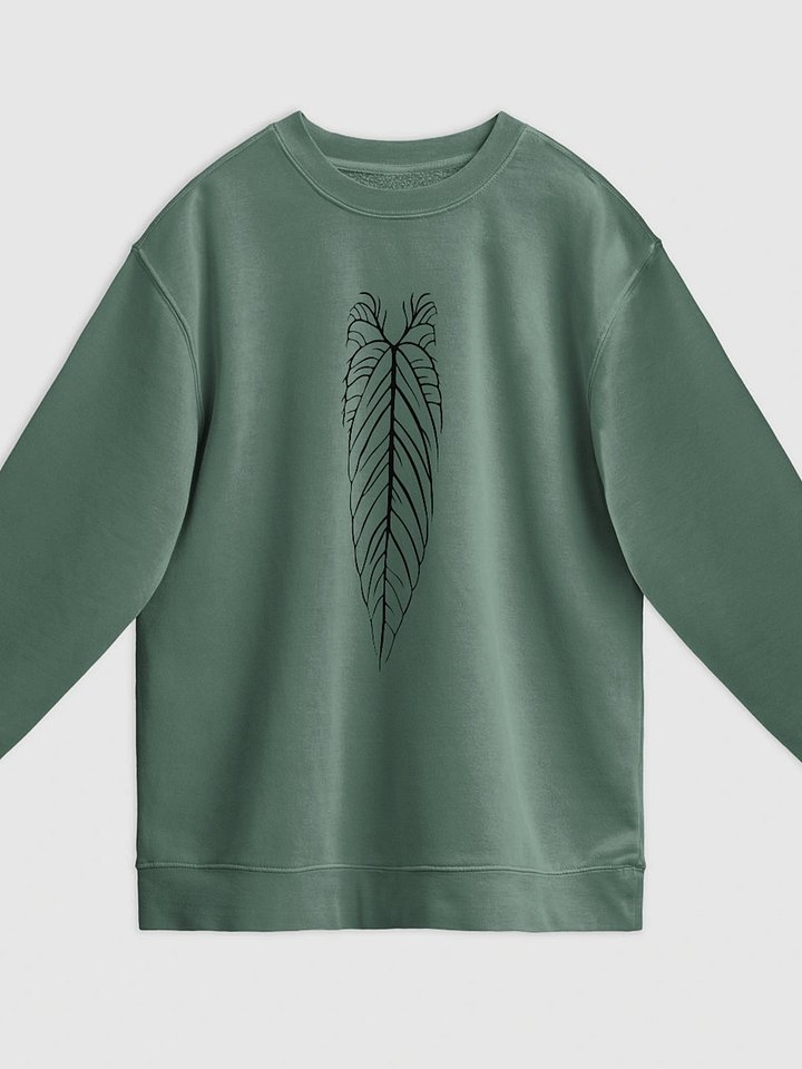 ANTHURIUM WAROCQUEANUM SKELETON - Midweight Pigment Dyed Sweatshirt product image (1)