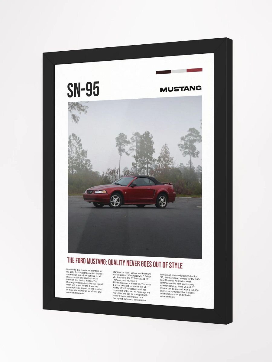 SN-95 framed poster product image (2)