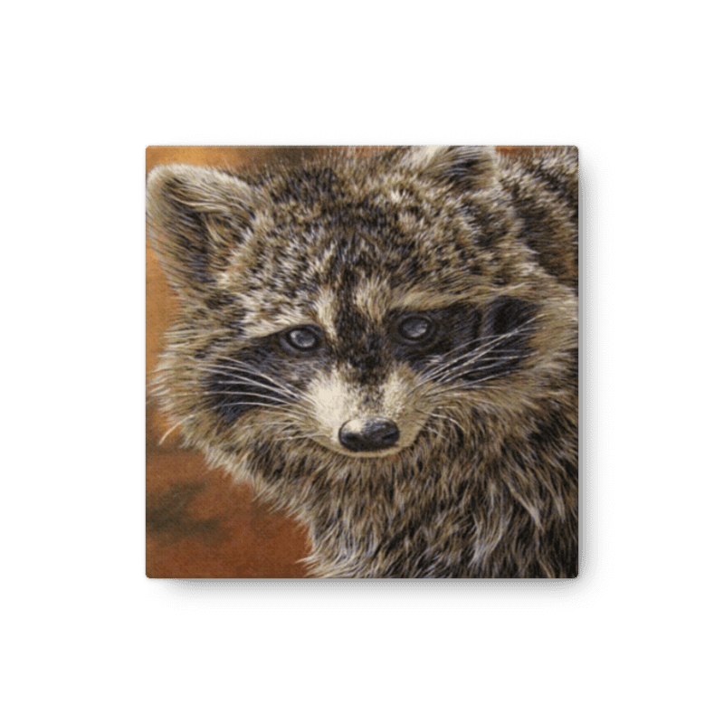 Raton/Racoon reproduction on/sur canvas product image (2)