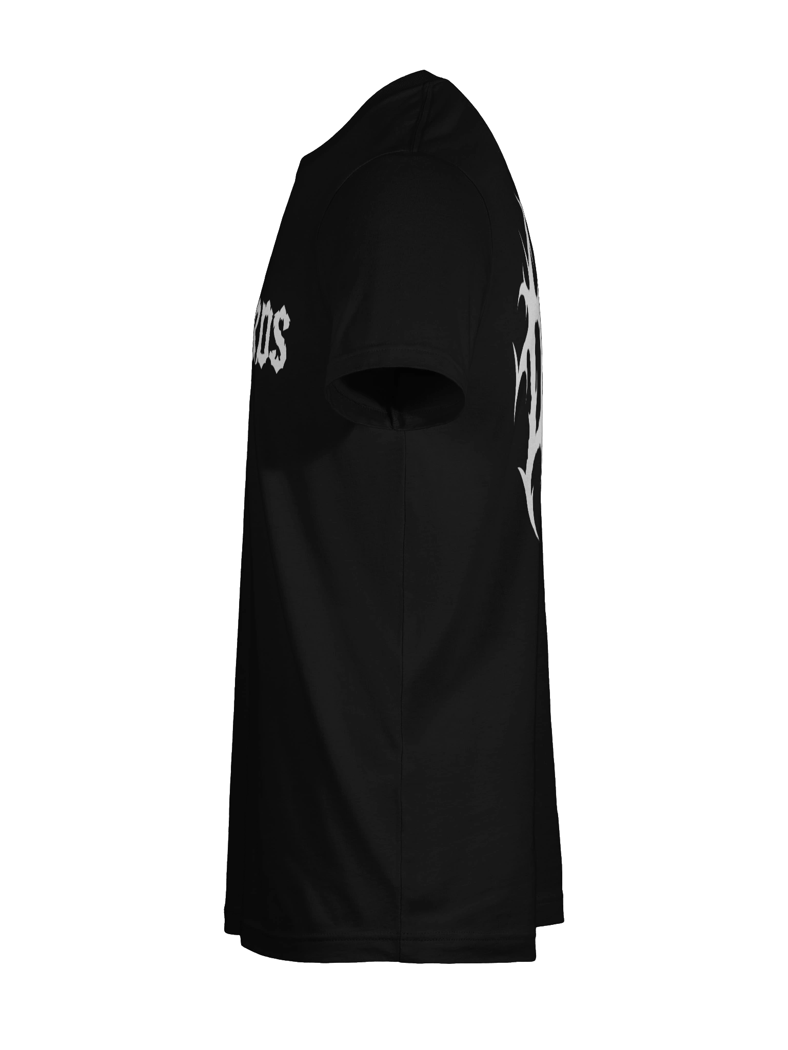 Go Birds T-Shirt product image (23)