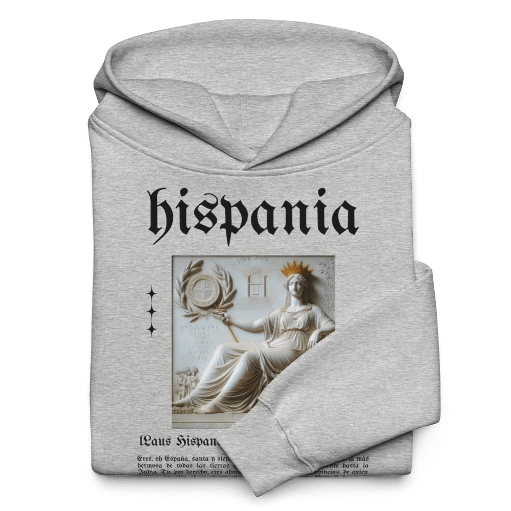 Sudadera con capucha gris - Laus Hispaniae product image (10)