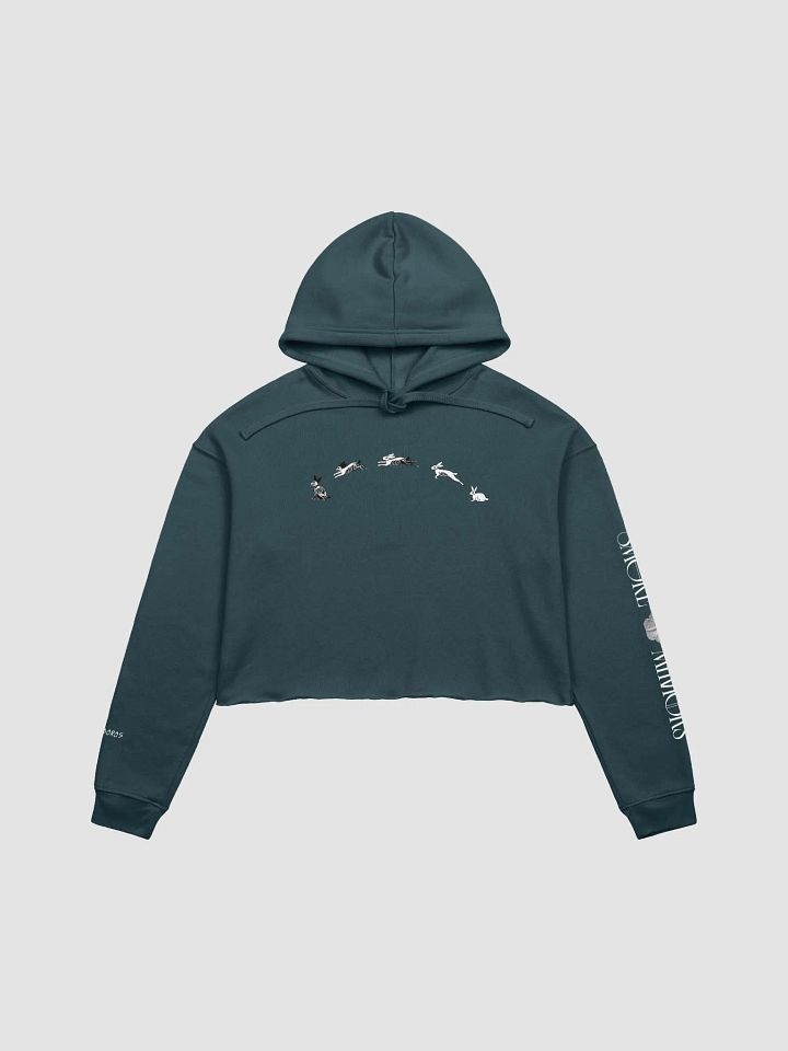 White Rabbit's Curse Crop Hoodie product image (4)