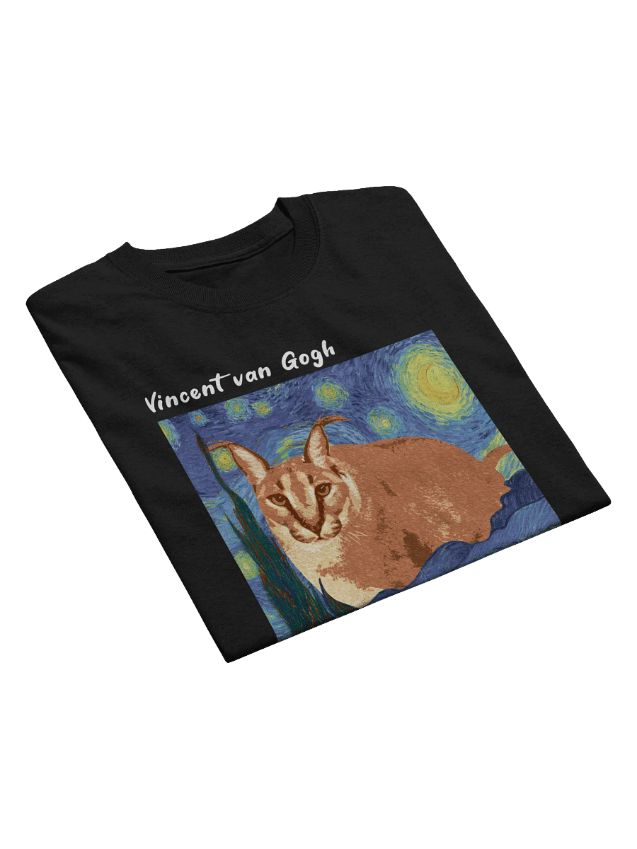 BIG FLOPPA X VINCENT VAN GOGH TEE product image (4)