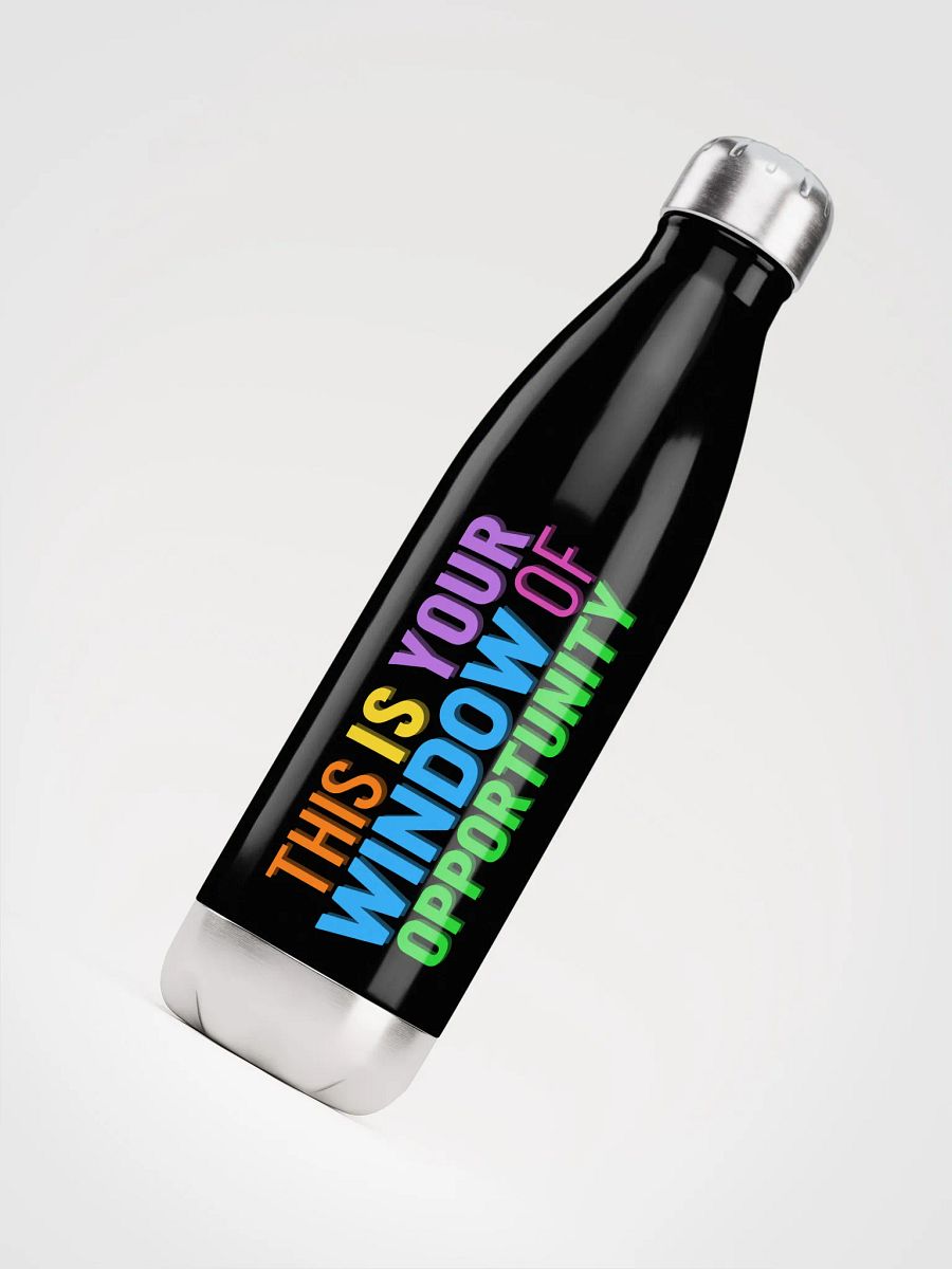 This is Your Window of Opportunity Water Bottle product image (8)