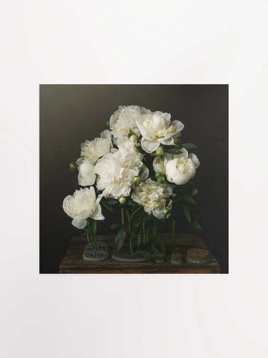 White Peonies product image (1)