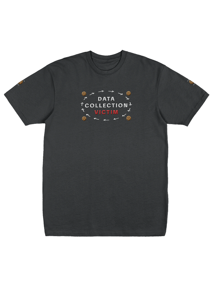 Data Collection Victim | Embroidered Heavyweight Tee product image (1)