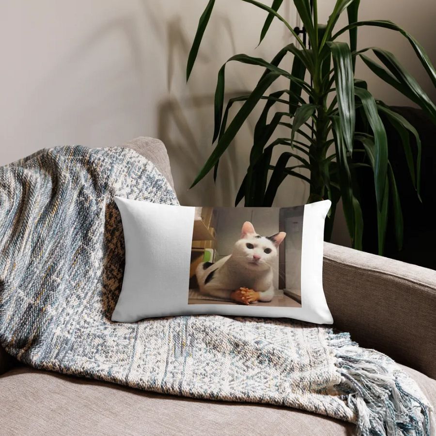 Pawsitively Human Pillow Case product image (14)