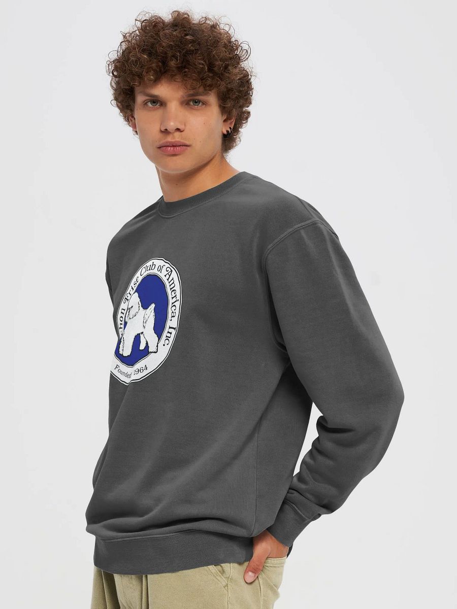 BFCA Unisex Midweight Pigment Dyed Sweatshirt - More Colors Available! product image (5)