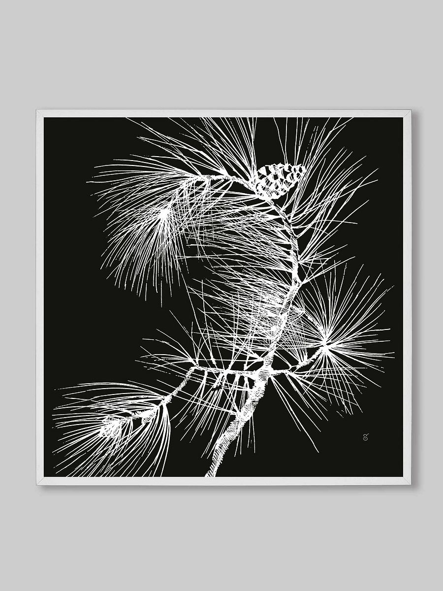 Visionary Canvas Collection - Pine Branch Dark product image (89)