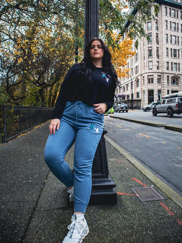 Hopeful Romantic Blue Joggers product image (2)