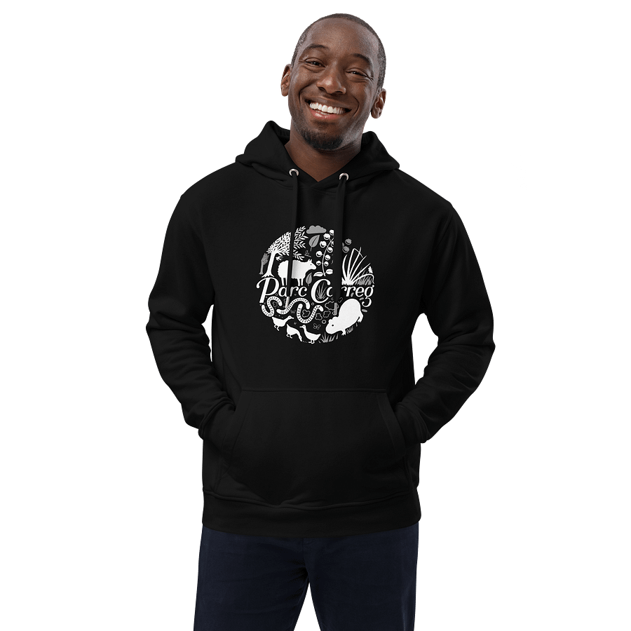 Hoodie by Parc Carreg product image (3)