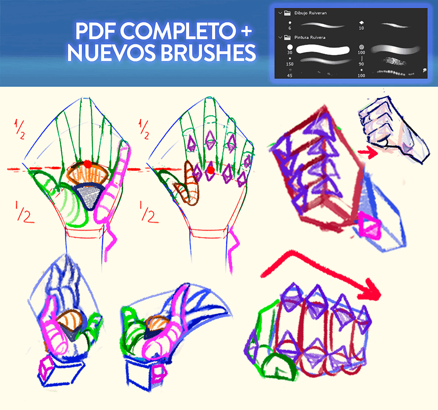 DIBUJA ANATOMÍA EN ACCIÓN (Full PDF)+ Pinceles 2025 + Rutina de Prácticas product image (5)