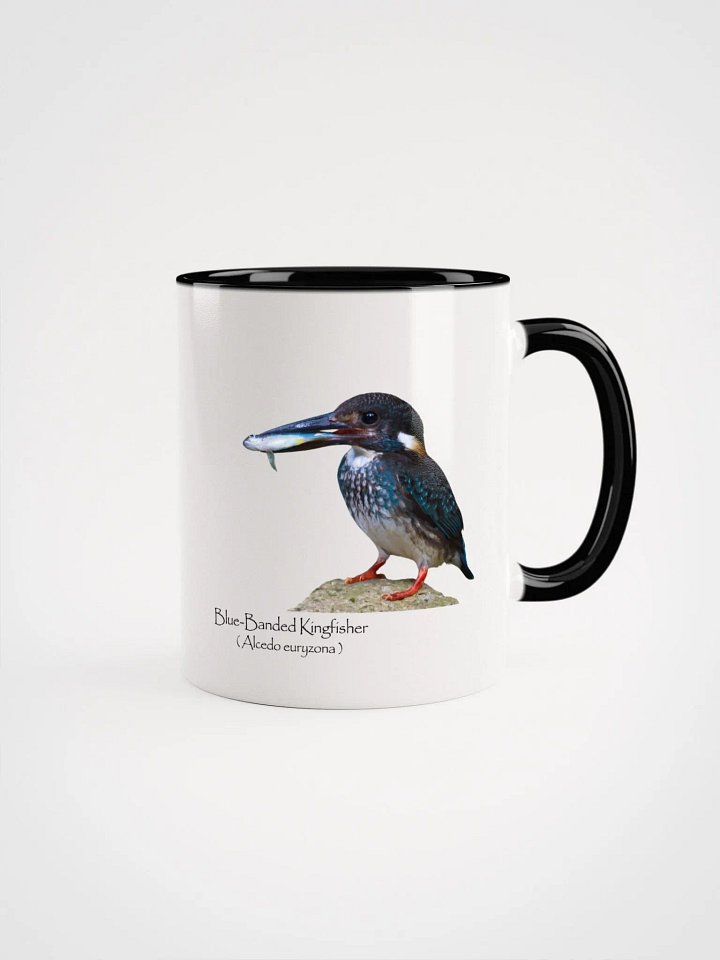 Blue-Banded Kingfisher mug product image (6)