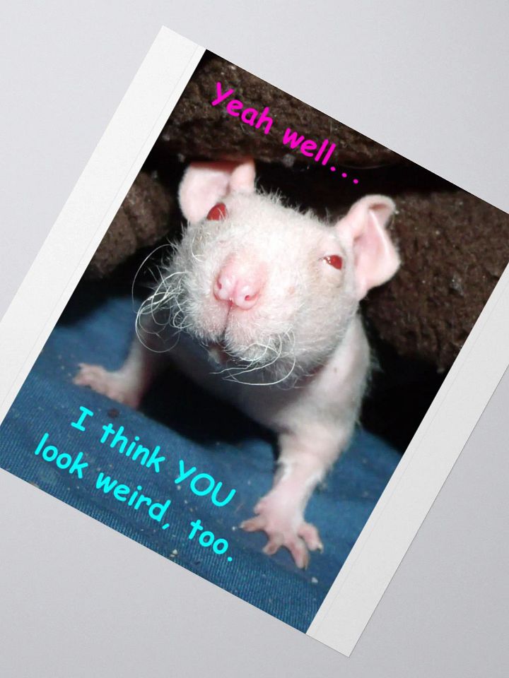 Hairless rat sticker product image (5)