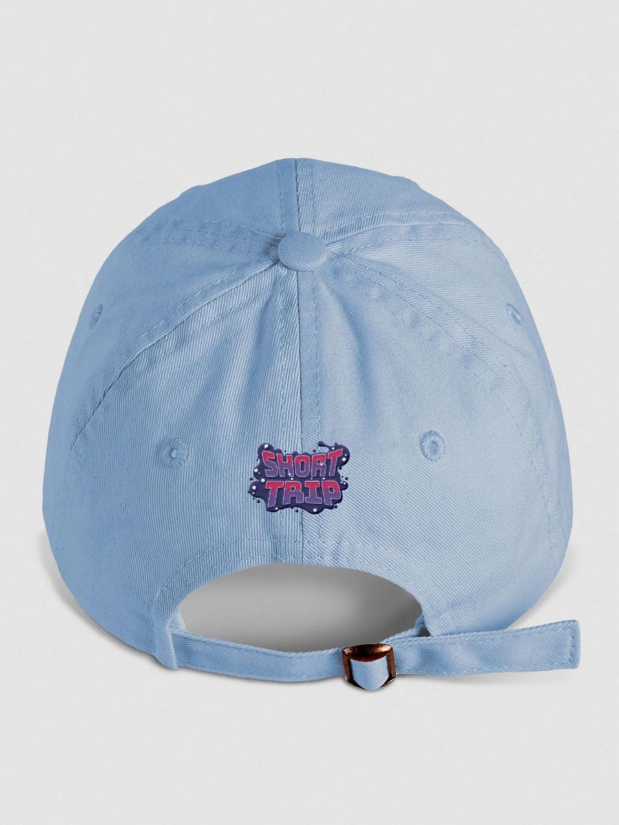 Dynamic Youth Biowashed Dad Hat - SHORT TRIP Edition product image (10)