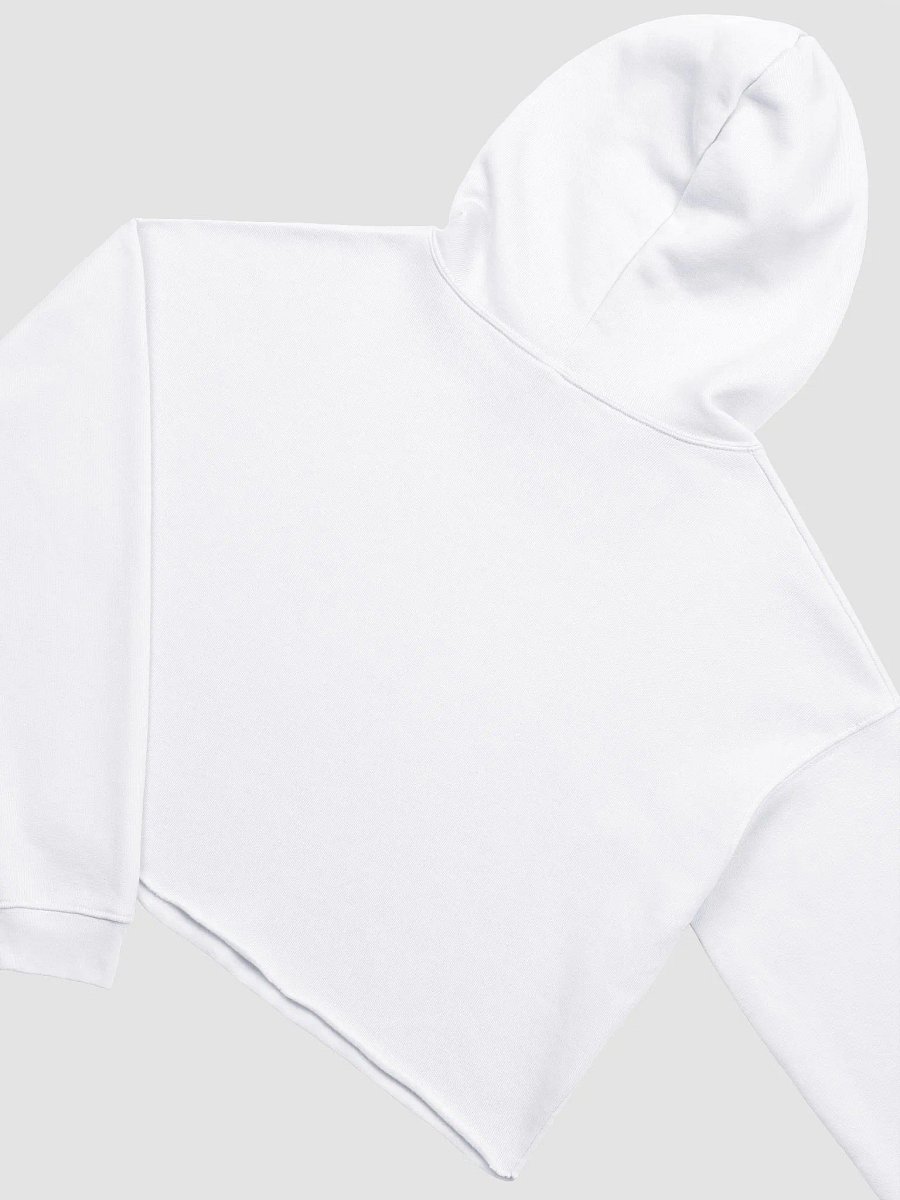 Evolved Bella+Canvas Fleece Crop Hoodie product image (4)
