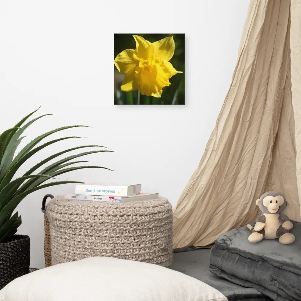Daffodil product image (7)