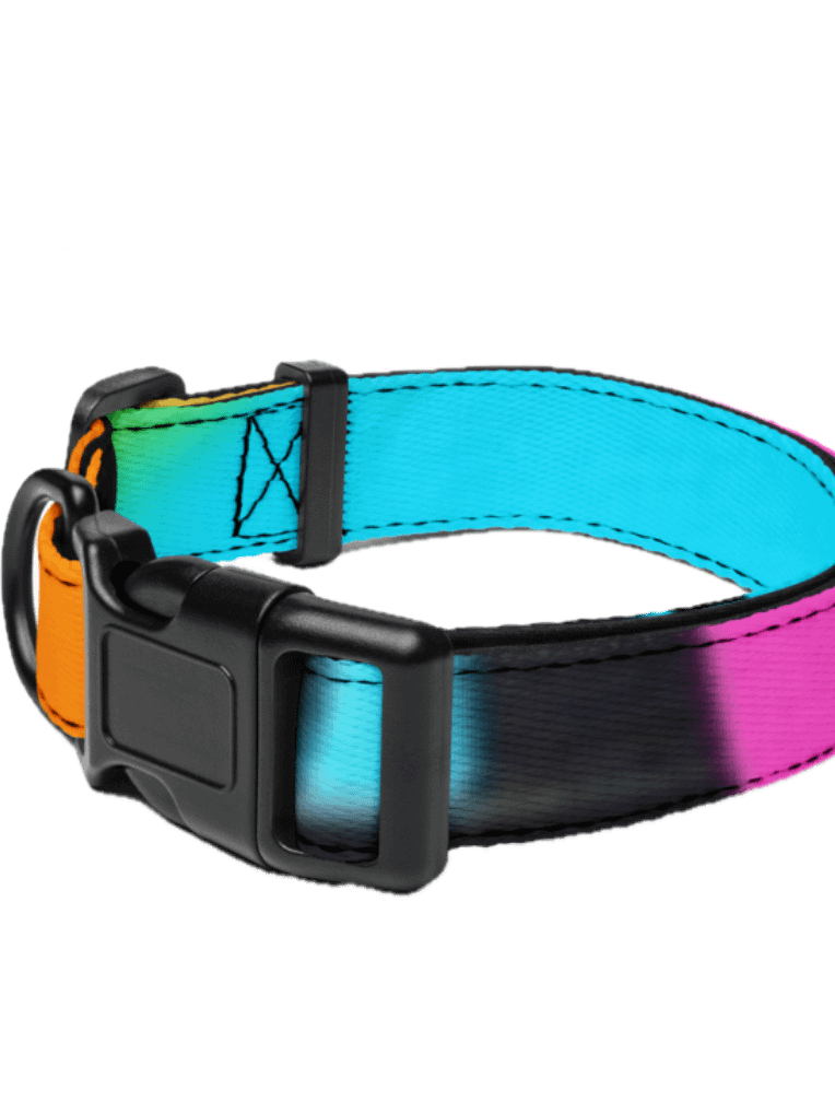 EIFFEL PARIS • PET COLLAR 3 SIZES product image (4)