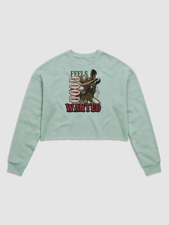 WANTED crop hoodie product image (25)