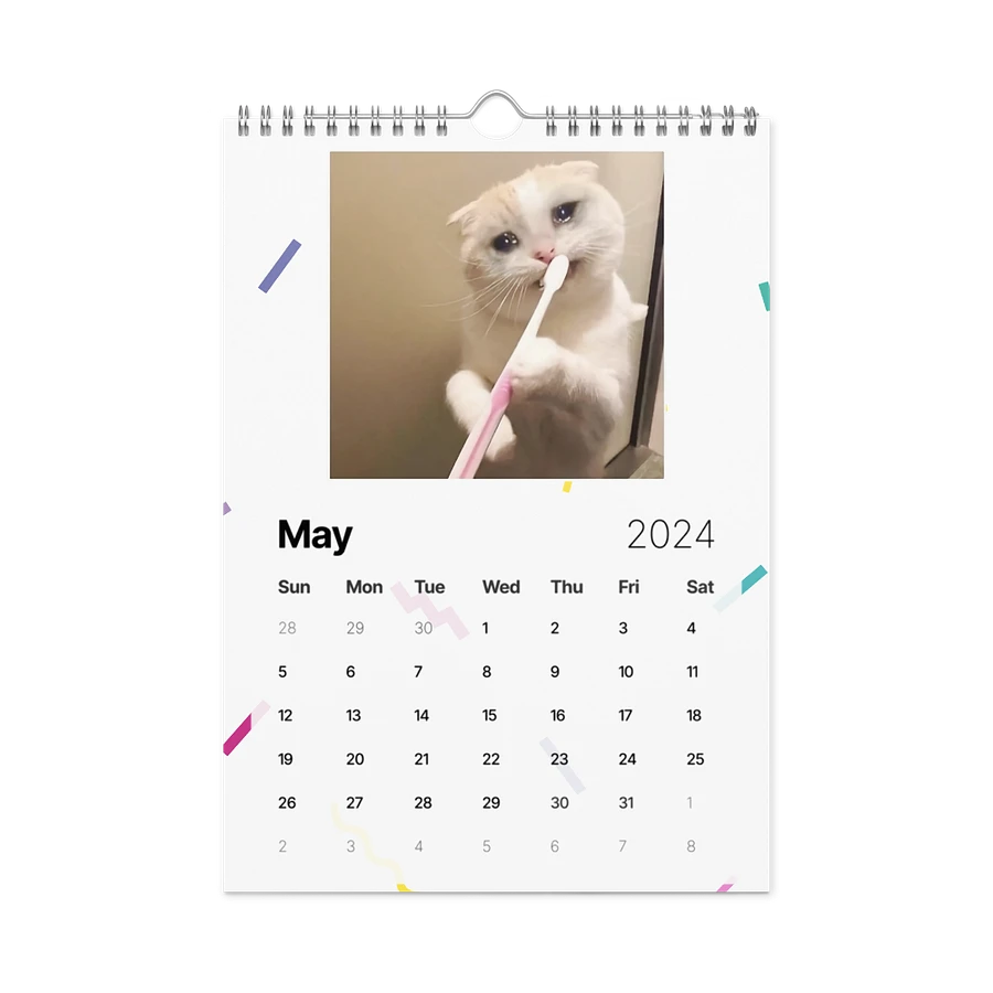 Wall Calendar (2024): Meme Cats product image (14)