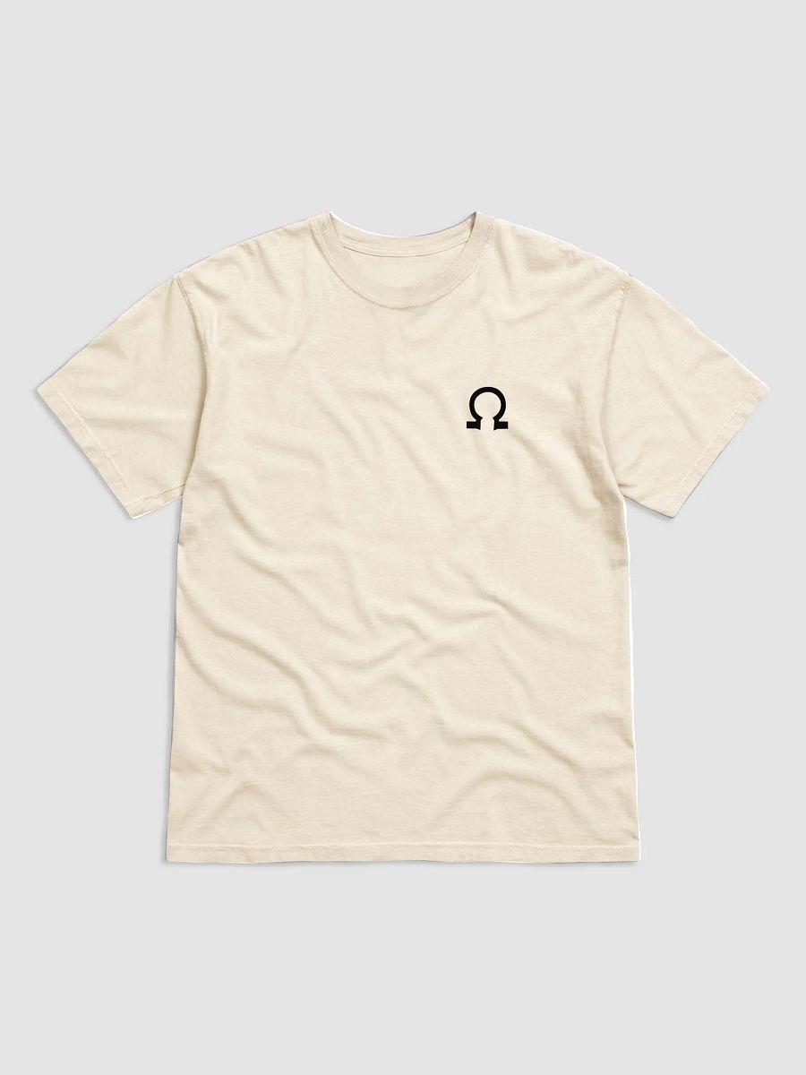 JOLTRON Heavyweight Tee product image (2)