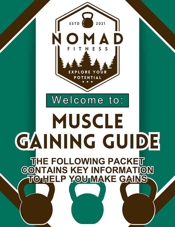 Muscle Gaining Guide product image (1)
