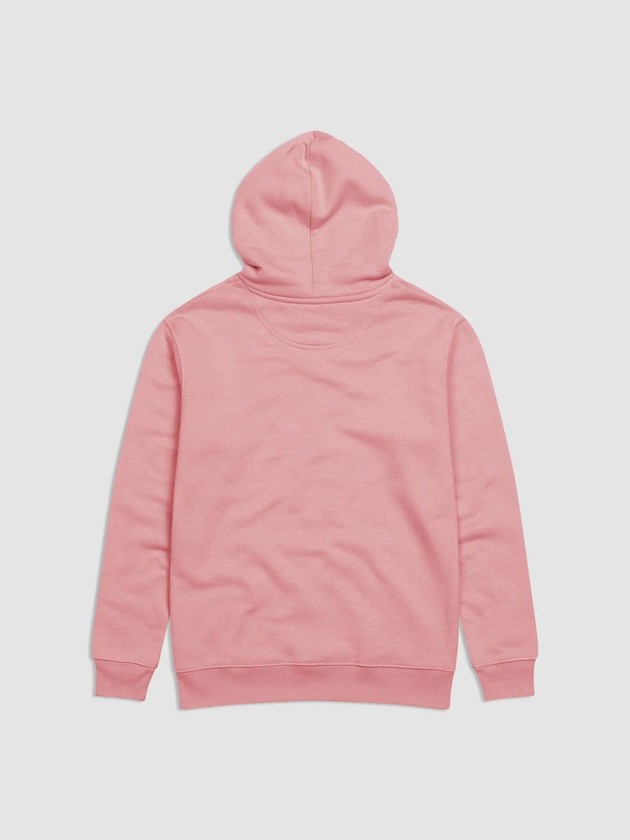 Embrace Eco Hoodie product image (4)