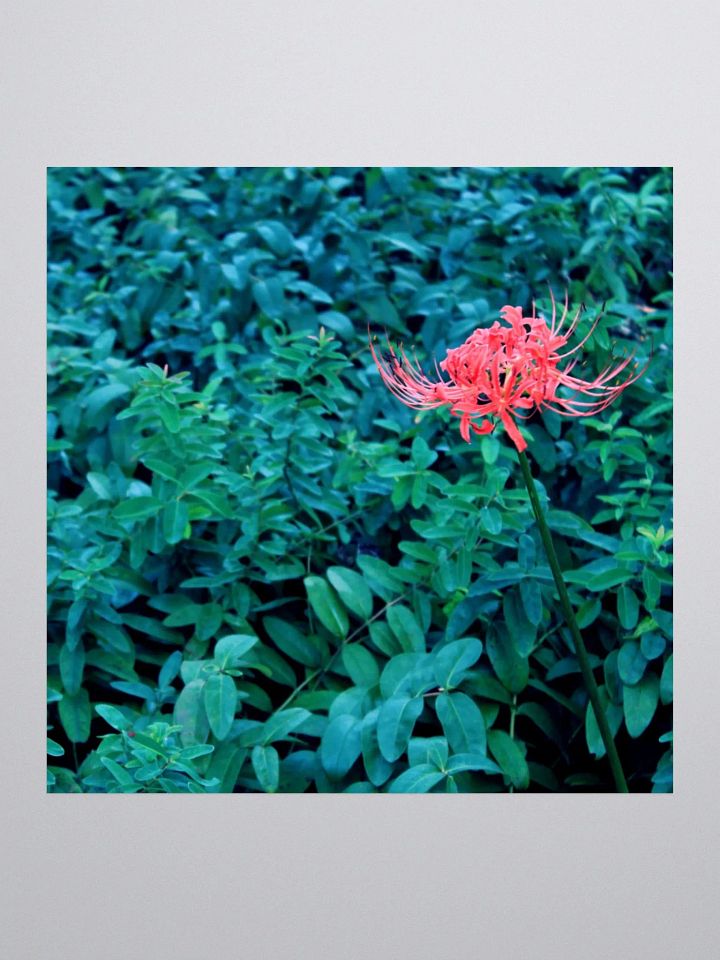 A Study in Flowers 10 - sticker version product image (3)