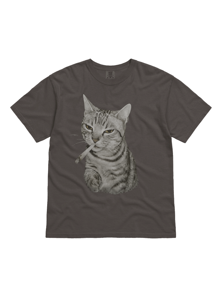 Current Mood Smoking Cat | Edgy Vintage Comfort Colors® Tee product image (2)