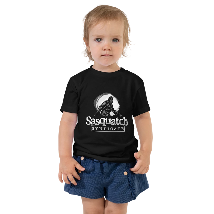 Toddler T-Shirt product image (1)