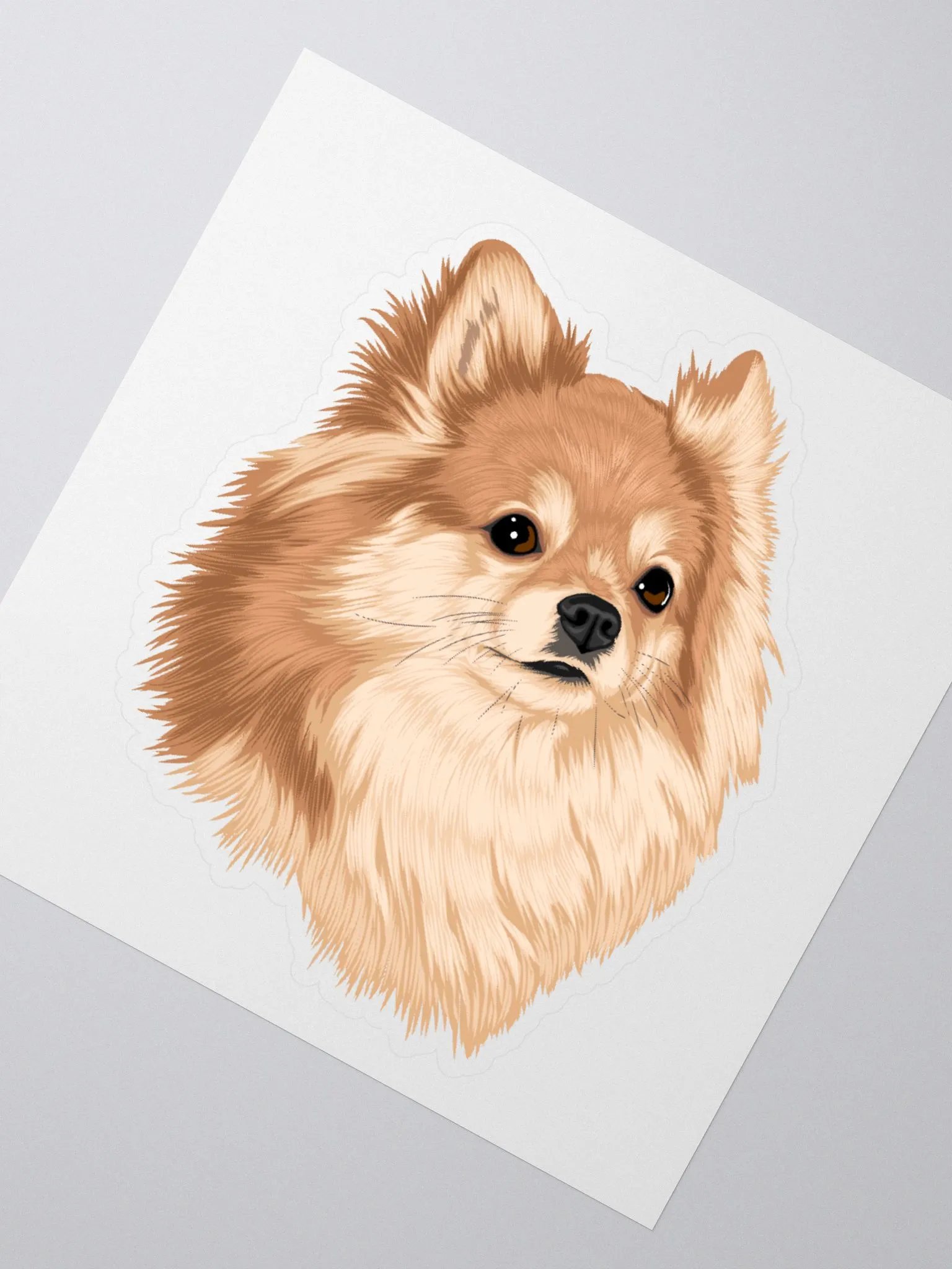 Nova Sticker product image (2)
