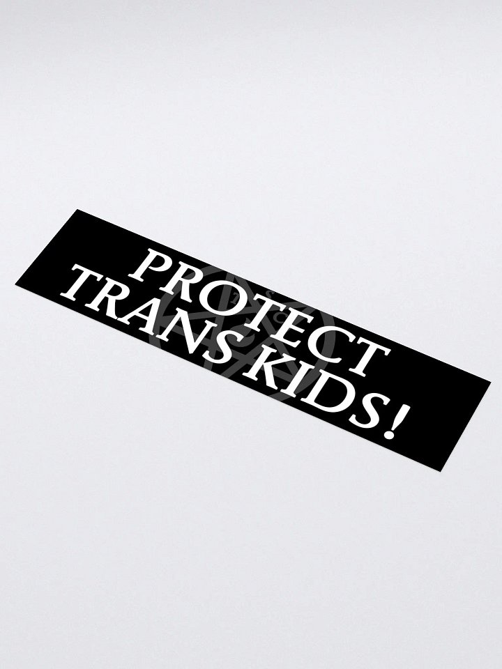 "Protect Trans Kids!" - Bumper Sticker product image (1)