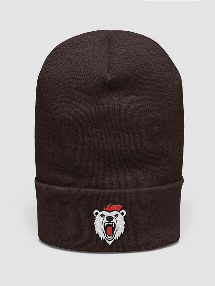 Polarifix Beanie product image (5)